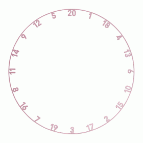 Precise180 - Zahlenringe