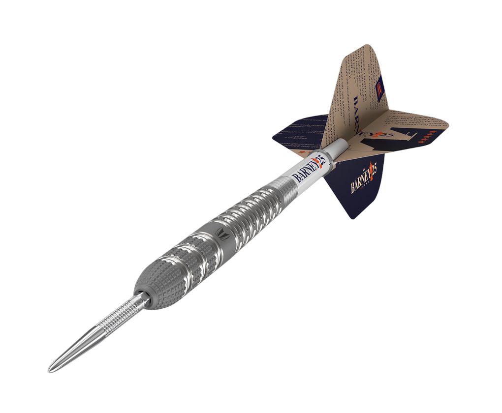 Target - Swiss Point - Raymond van Barneveld 25 95% - Steeldart