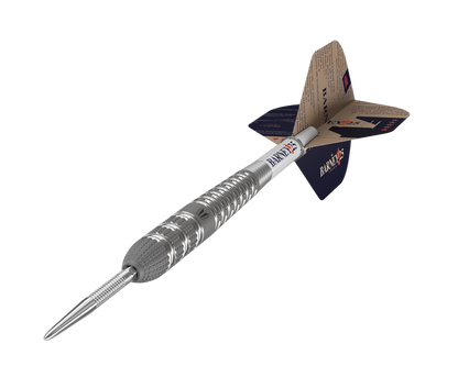 Target - Swiss Point - Raymond van Barneveld 25 95% - Steeldart