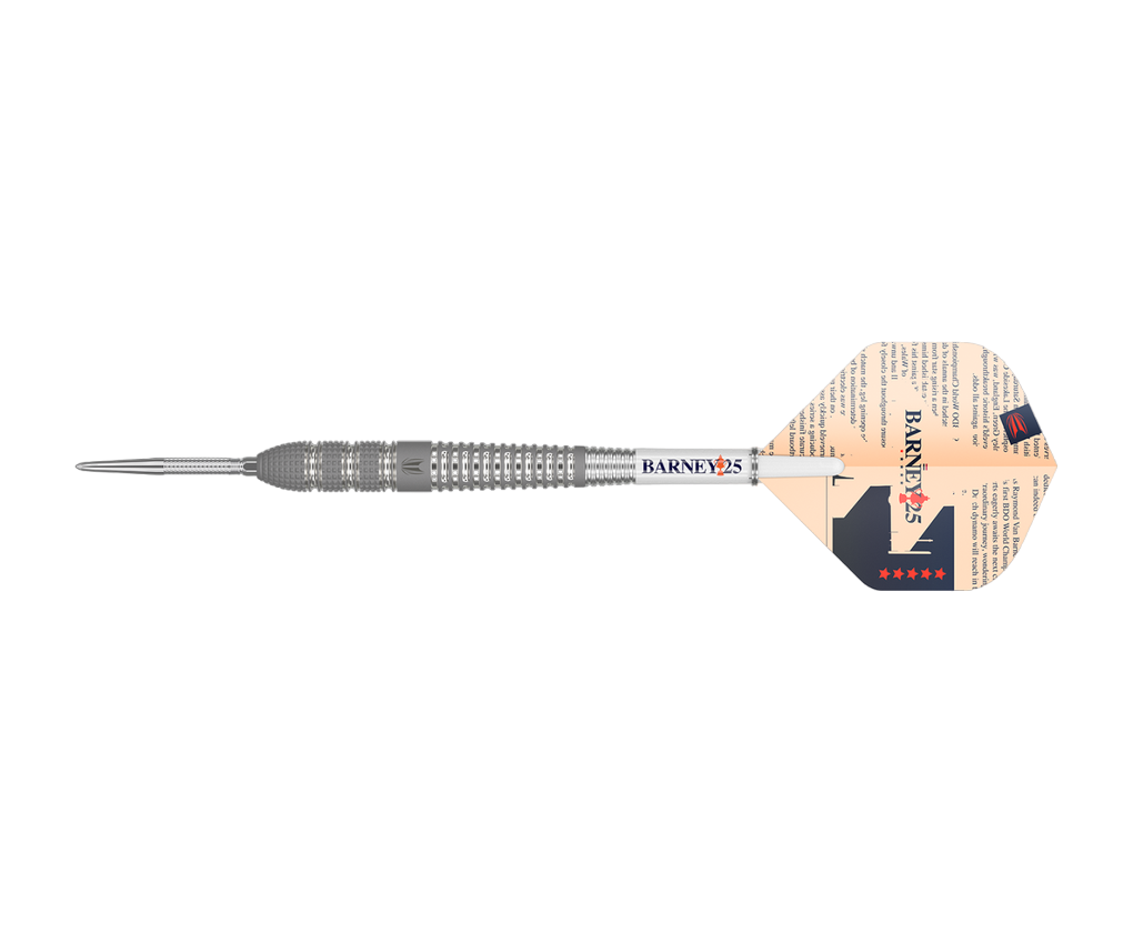 Target - Swiss Point - Raymond van Barneveld 25 95% - Steeldart