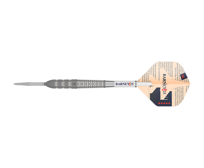 Target - Swiss Point - Raymond van Barneveld 25 95% - Steeldart