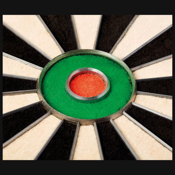 Winmau Champions Choice Blade Dual Core